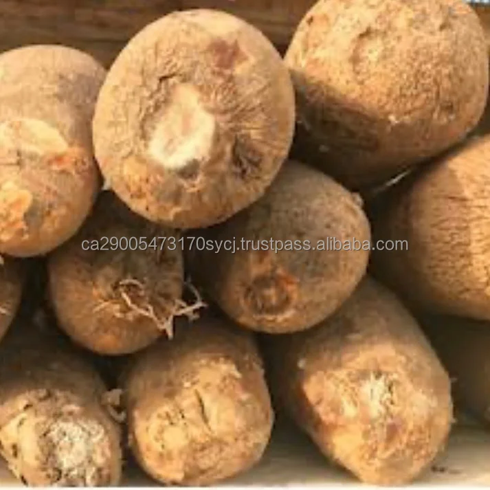Fresh Natural White Yams For Sale Buy Yam Preservation,Fresh Yams For