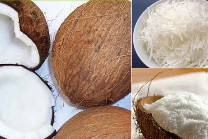 Плод кокосовой пальмы. Кокос температура. Кокос на дереве. Черный кокос. Кокос.