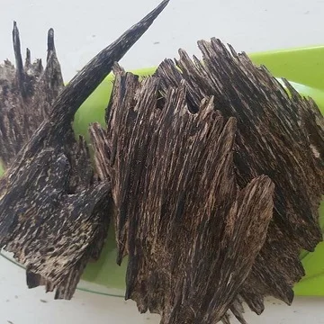 agarwood price in qatar