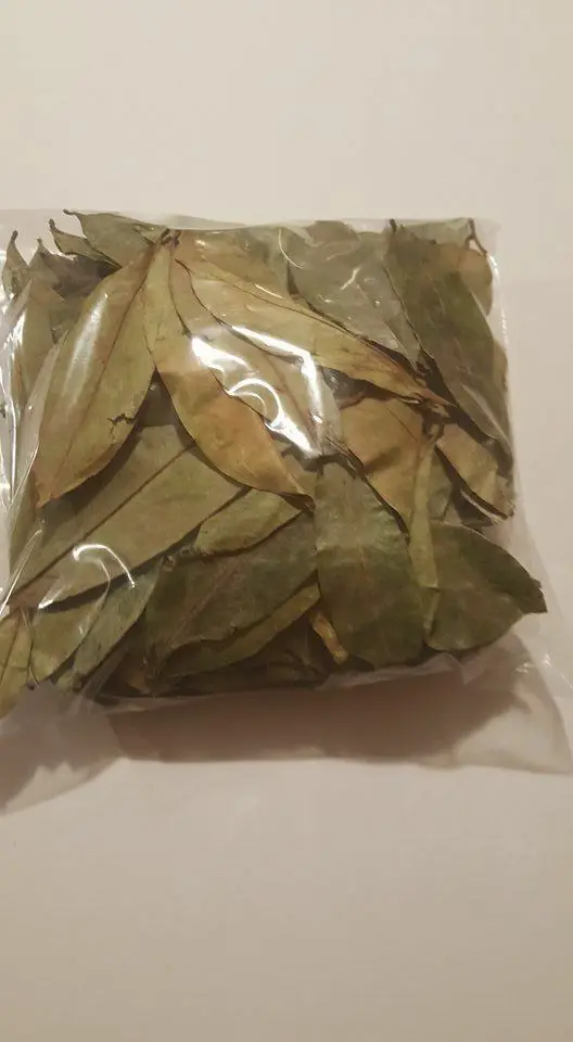 Premium Dried Soursop Leaves - Helen Tp +84 374 288 086 - Buy Dried ...