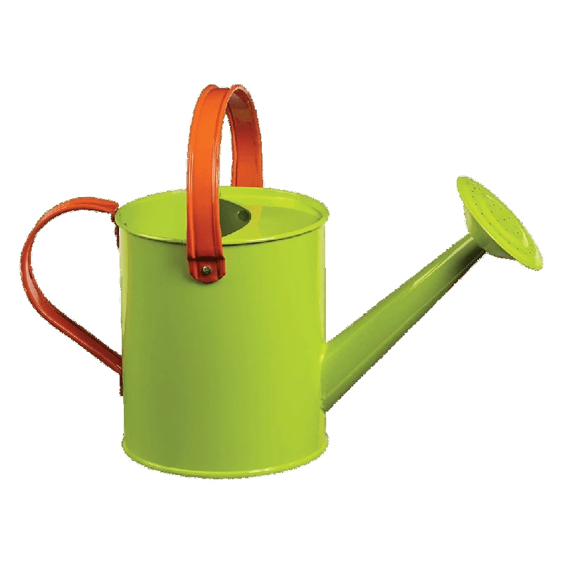 Indoor Use Watering Can Galvanized Planter Golden Finished Gardening