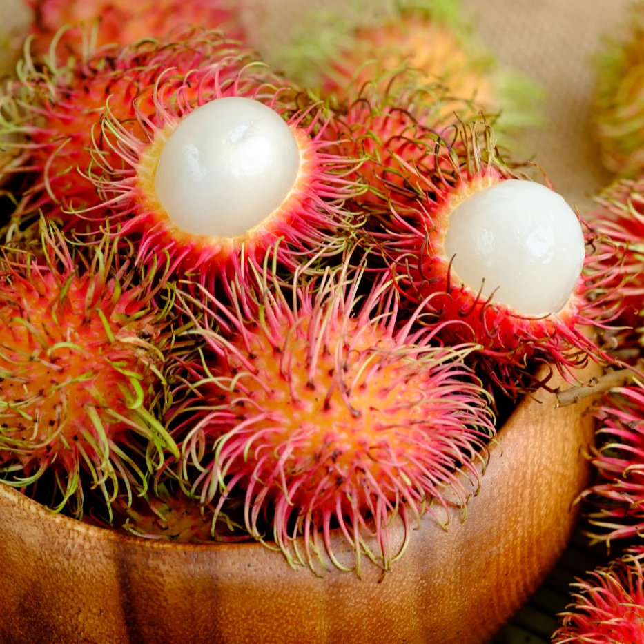 低価格で高品質のランブータン Buy Java Rambutan Fruit Product On Alibaba Com