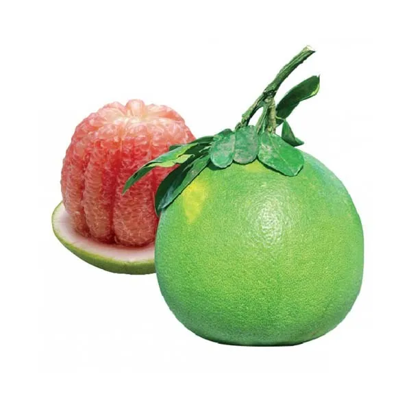 grapefruit with green skin and pink intestine,grapefruit cheap p