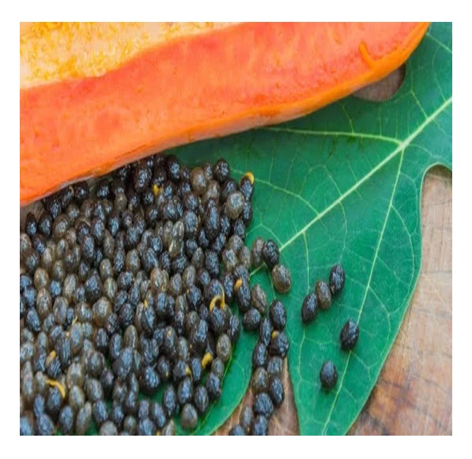 Семена Папайи Купить В Аптеке