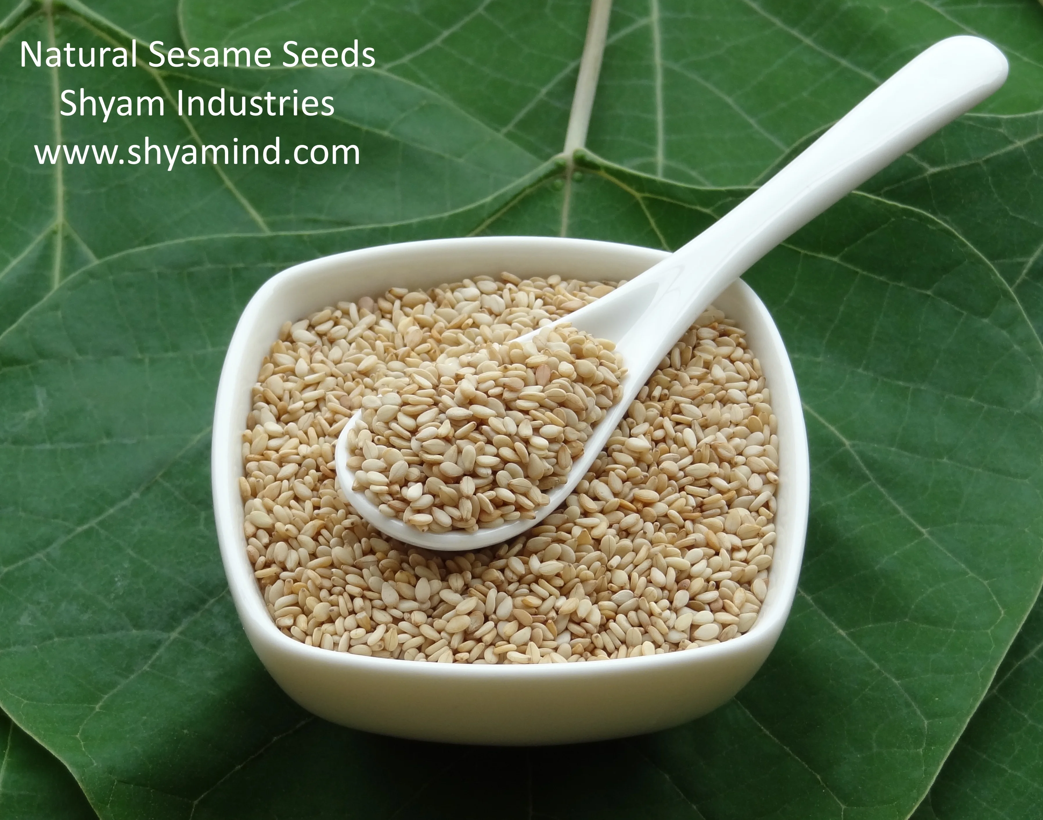 natural sesame seeds price from competitive exporter