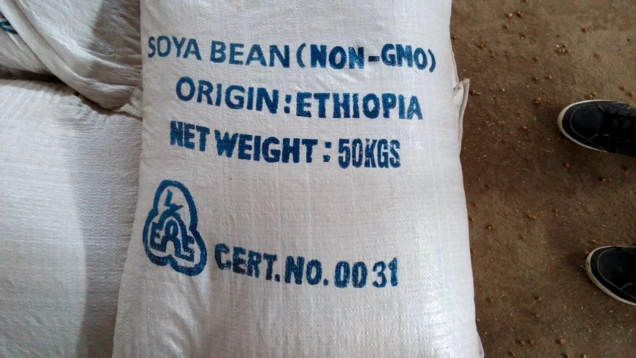 Fresh Quality 2022 Latest Crop Bulk Supply Ethiopia Fresh Cream Soya Beans At Low Market Price