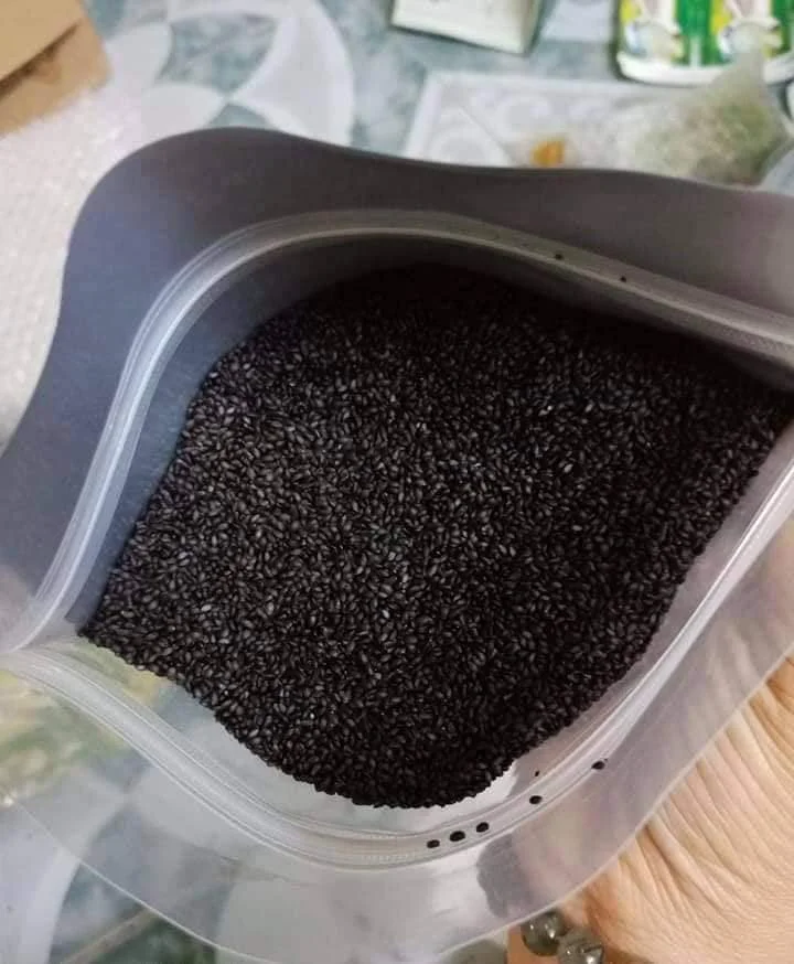 Top Quality Basil Seed Supplier From Vietnam / Vietnam Spices / +ivy