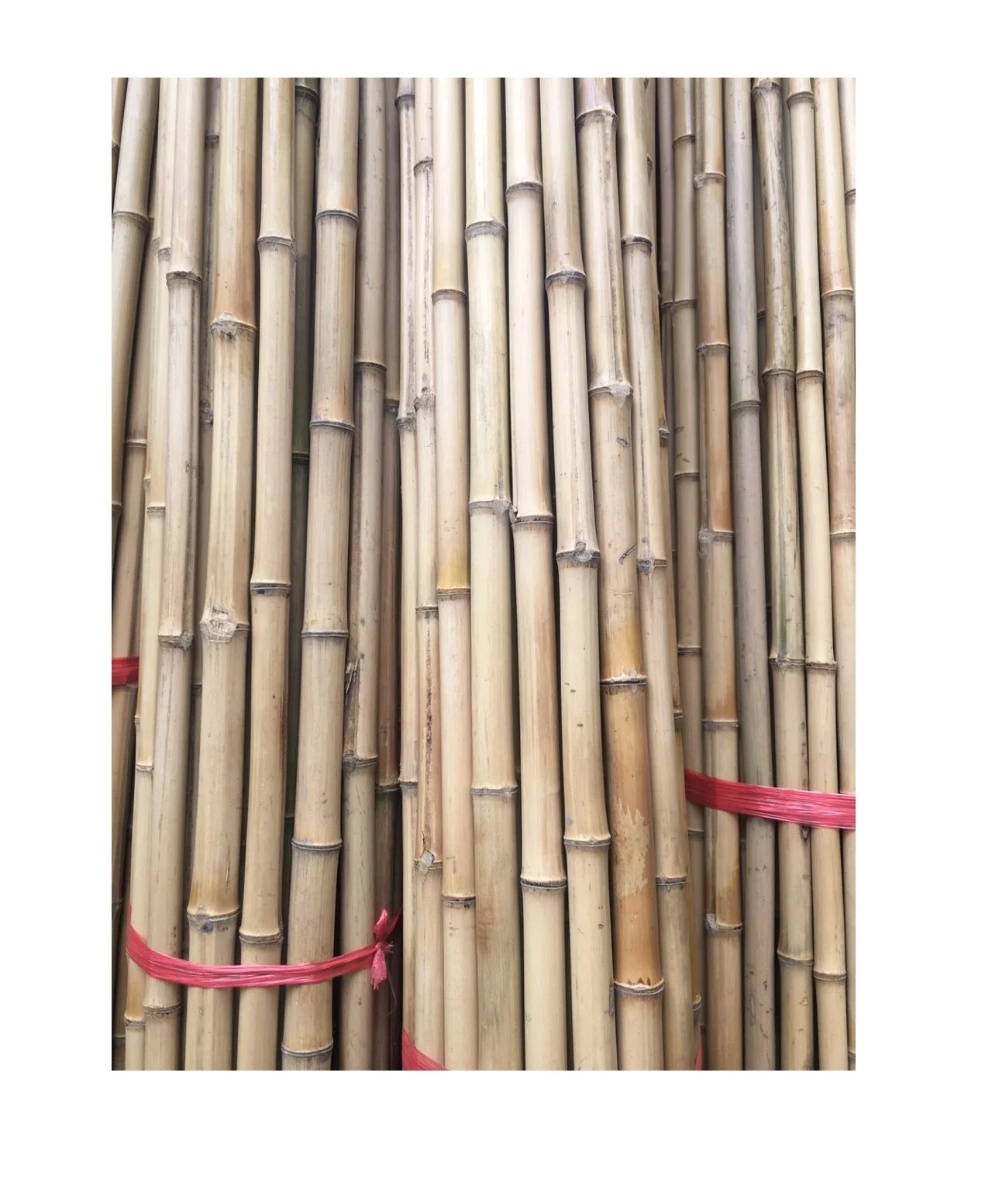 exporting different size bamboo poles natural synthetic bamboo