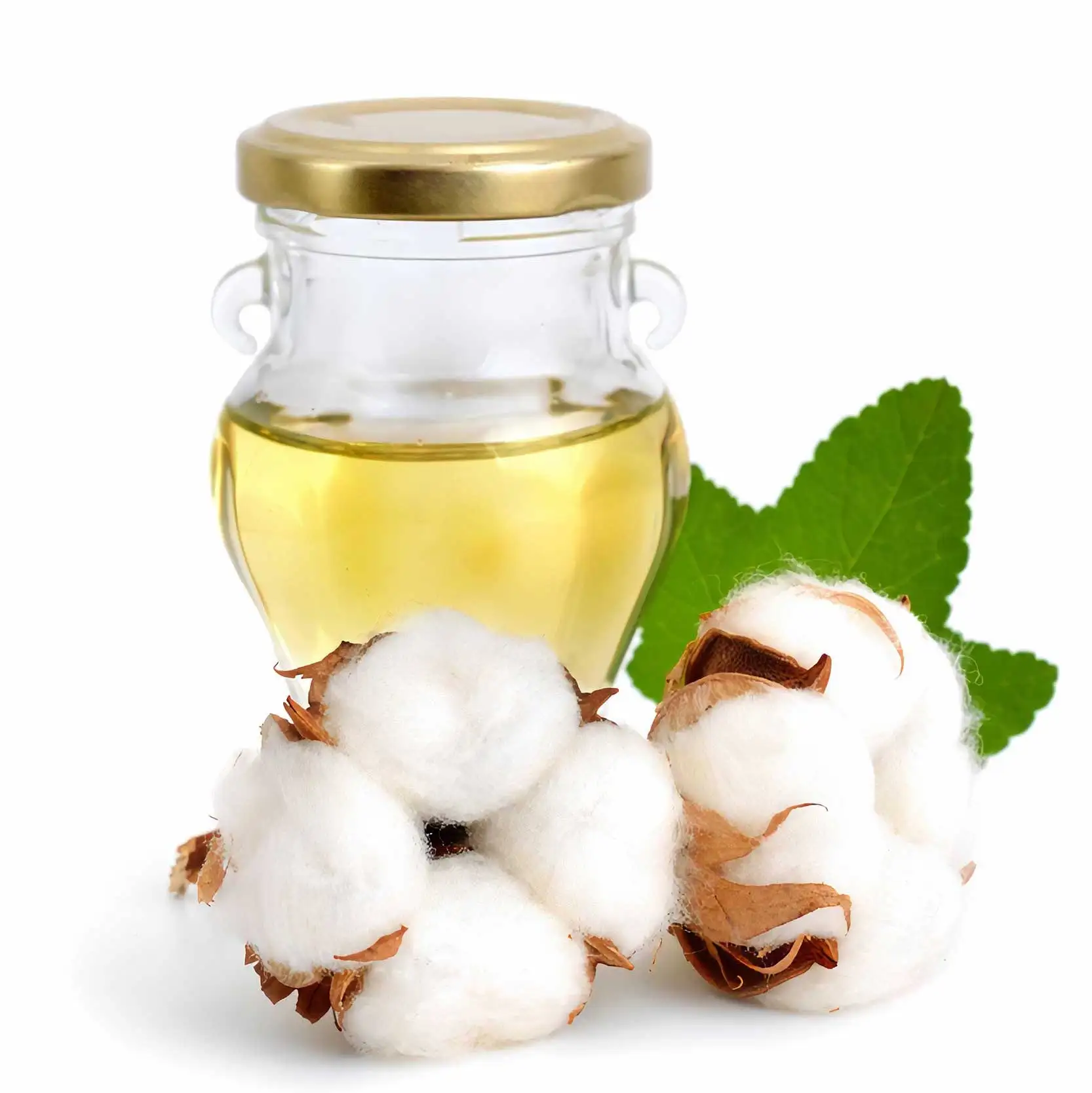 Хлопчатниковое масло. Хлопковое масло пищевая ценность. Хлопковое масло. Хлопковое масло полезные свойства. Хлопковое масло полезные.
