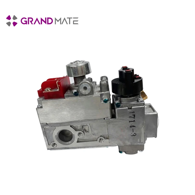 Kitchen Cooker Solenoid Lpg Natural Gas Check Valve Buy Low Price