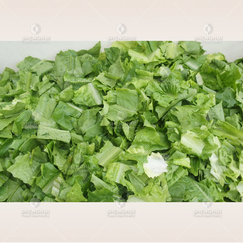 Small Vegetable Dehydrating Machine Cabbage Dewater Machine Lettuce Spinning Machine Shrimp Meat Spinner