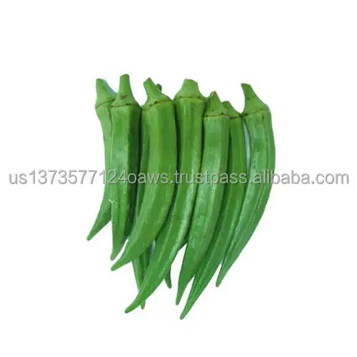 OKRA.jpg