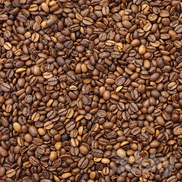 Bulk Raw Coffee Beans Arabica Coffee Bean with High Screen