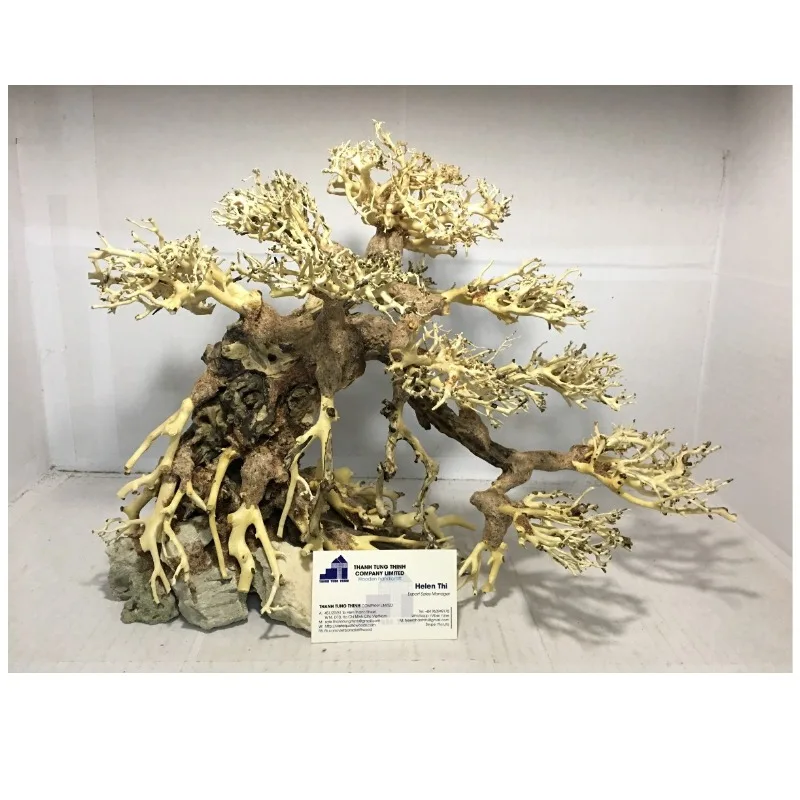 Natural Driftwood - You Need To Beautify Your Aquarium Or Fish Tank