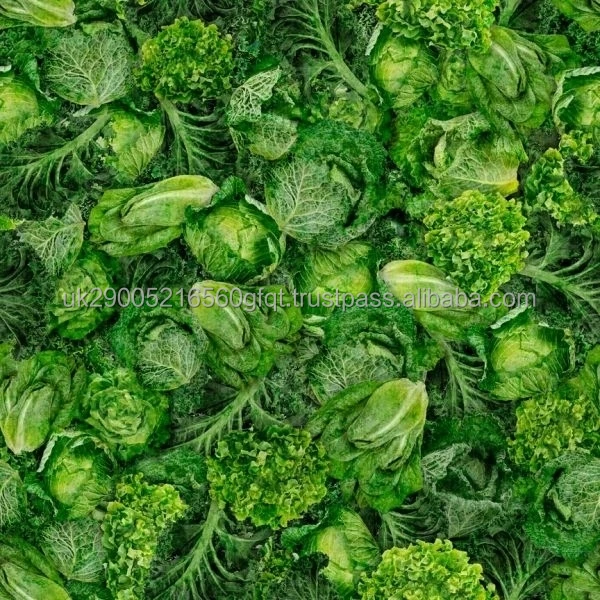 Cabbage1.jpeg