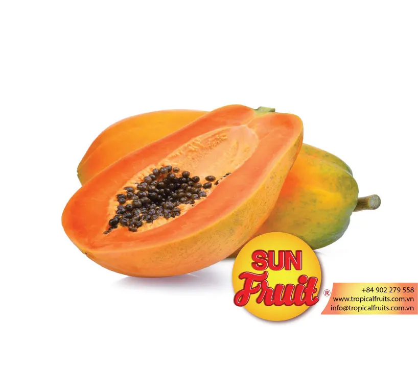 papaya fruit good price