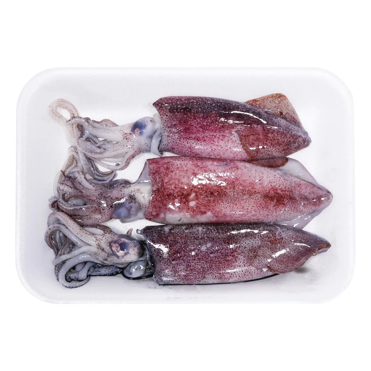 Best Quality 100% Export Oriented Custom Packaging Wholesale Price Fresh Frozen Ilex Squid Export From Indonesia
