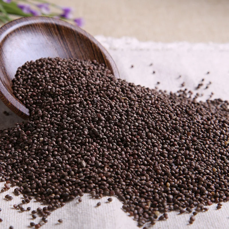 best quality bulk powder perilla seed