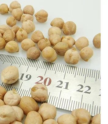 chickpeas.jpg