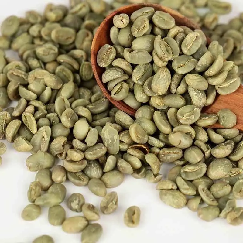unroasted coffee bean suppliers