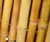 Giallo-chiaro