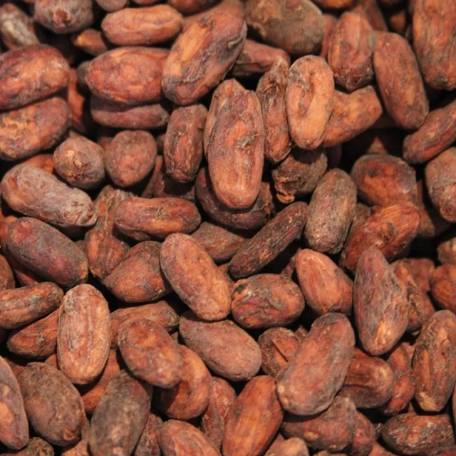 
 Ivory Coast Quality Dried Cacao Beans / Cocoa- Beans  