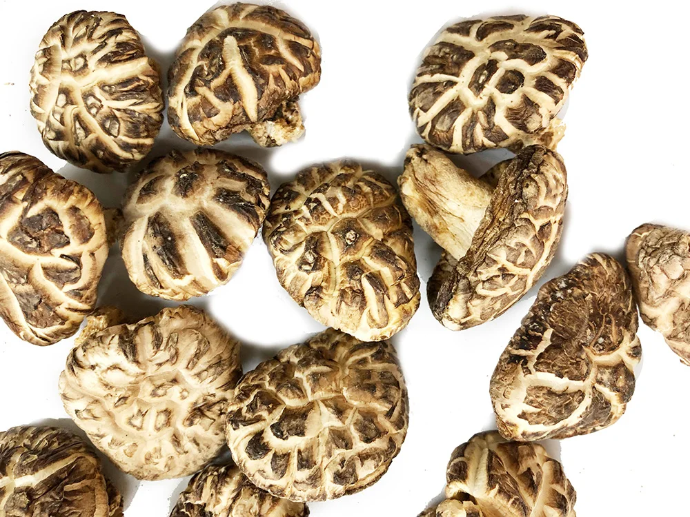 Сушеные замороженные грибы из дикой коричневой еды