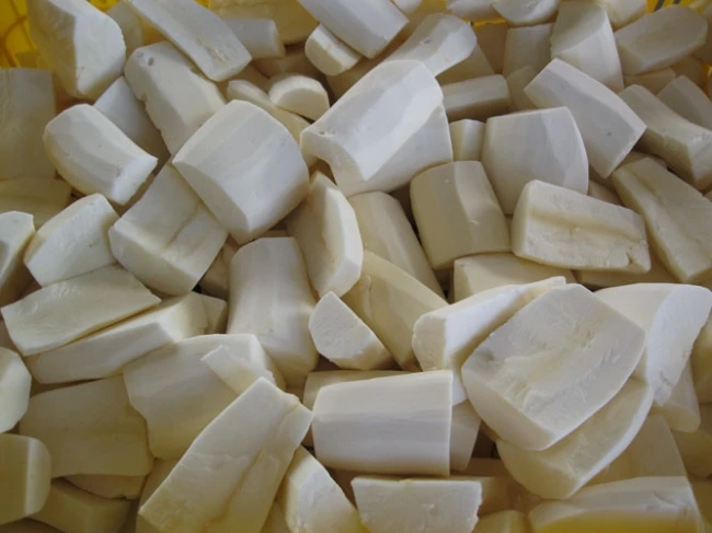 Fresh Tapioca/ Cassava