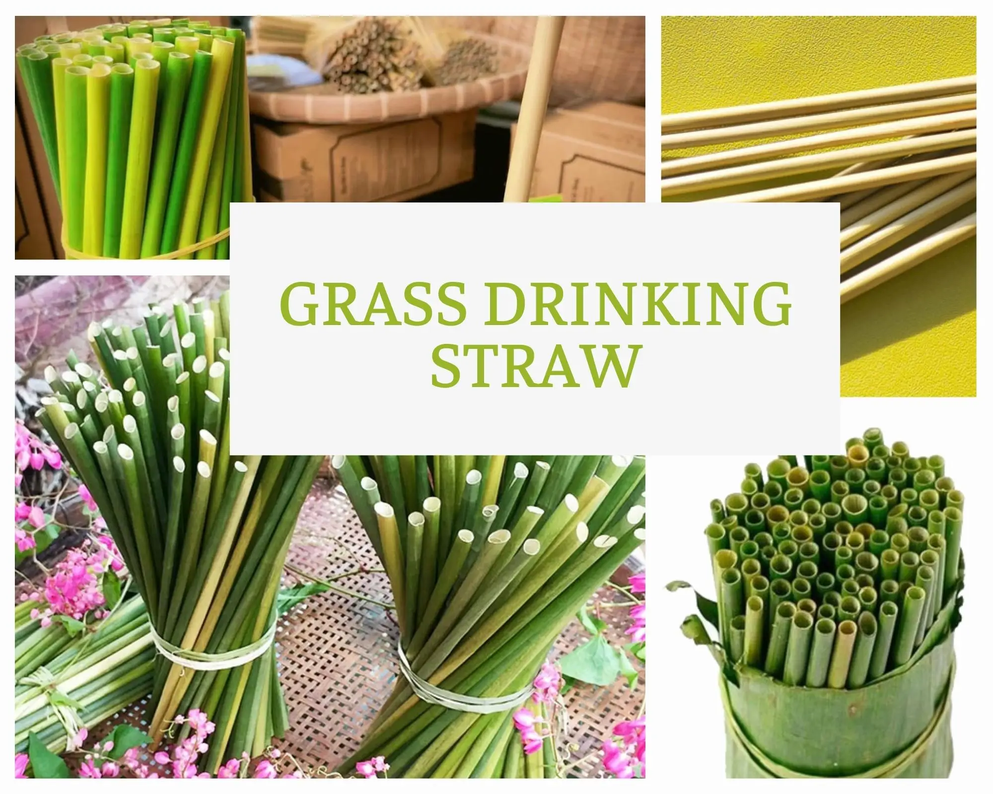 100% Organic Grass Straws Drinking - Pack of 100 Natural Eco Friendly –  Kreative World Online