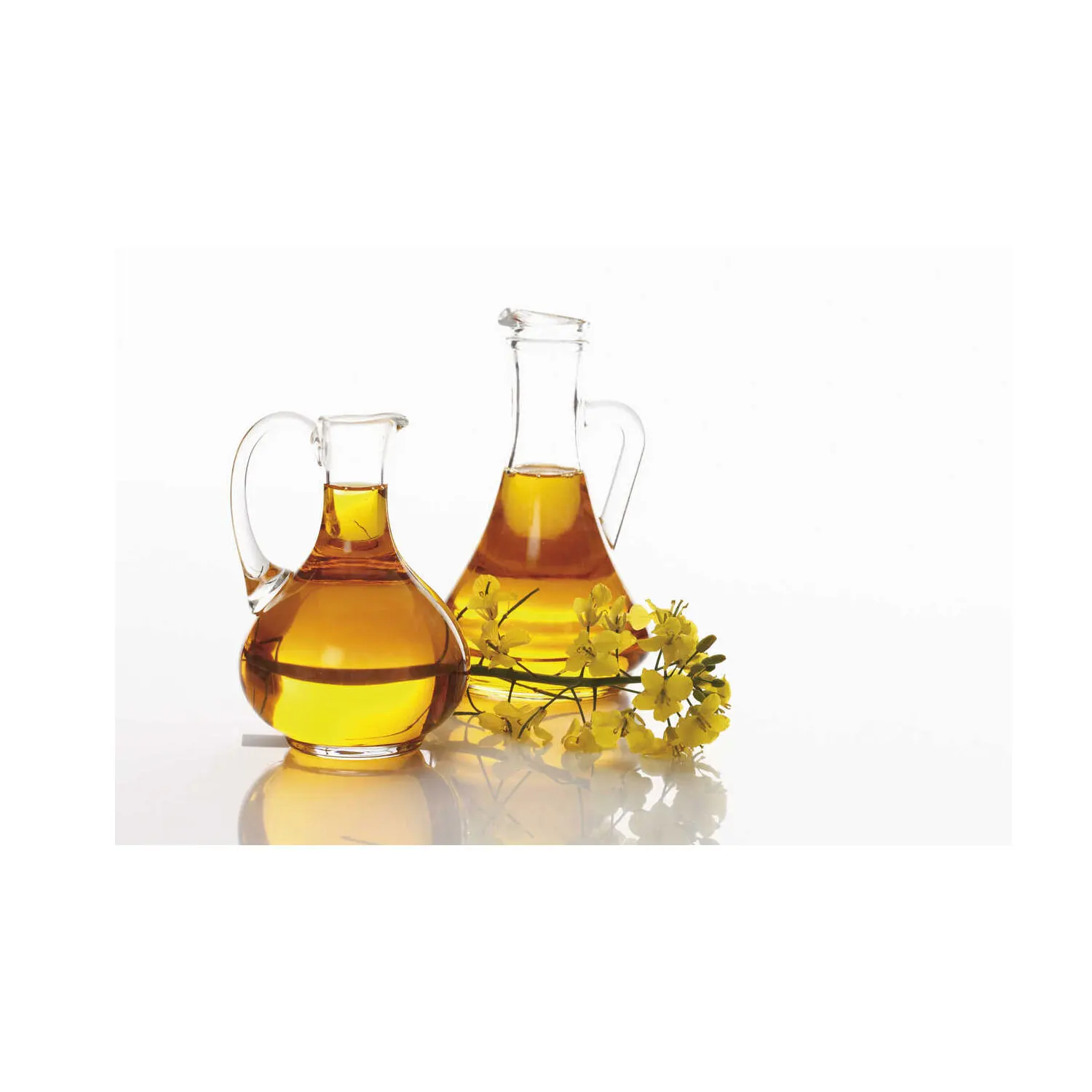 crude rapeseed/canola oil - buy rapeseed oil crude rapeseed oil