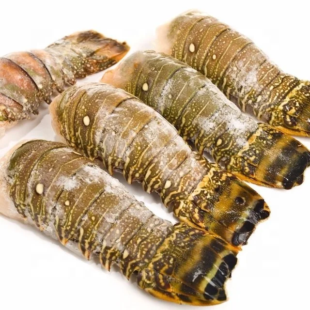 安い中冷凍ロブスターテール 6 7オンス クイックデリバリー新鮮冷凍ロブスターテール ボディとレッグロブスター肉販売 Buy レッドロブスター 太平洋ロブスター マイナスロブスター Product On Alibaba Com