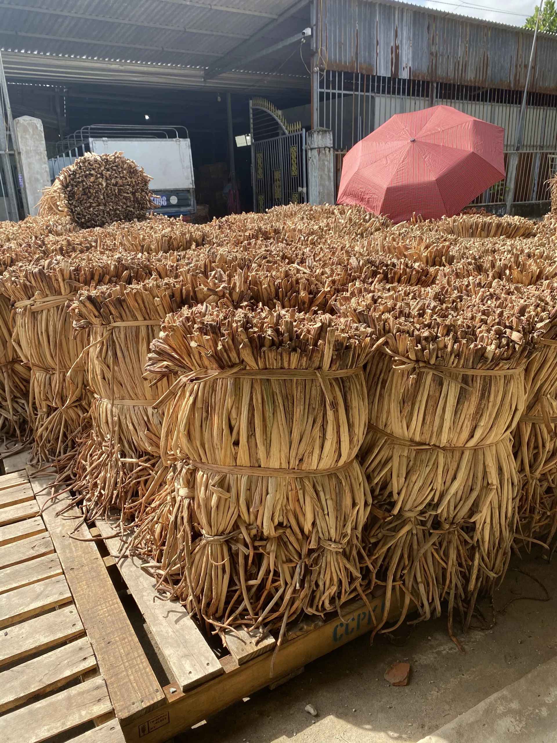 Transform Dried Water Hyacinth Into Exquisite Handicrafts - Buy Dried ...
