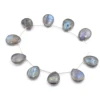 Blue & Gray