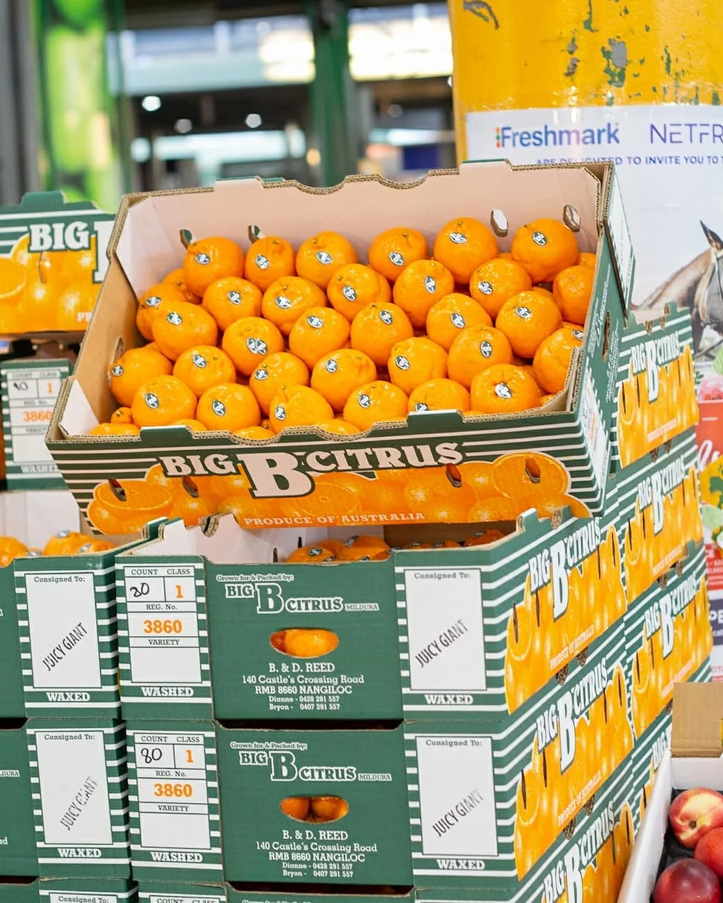 Factory Sale Navel Orange / Valencia Oranges For Sale.. Buy Bulk