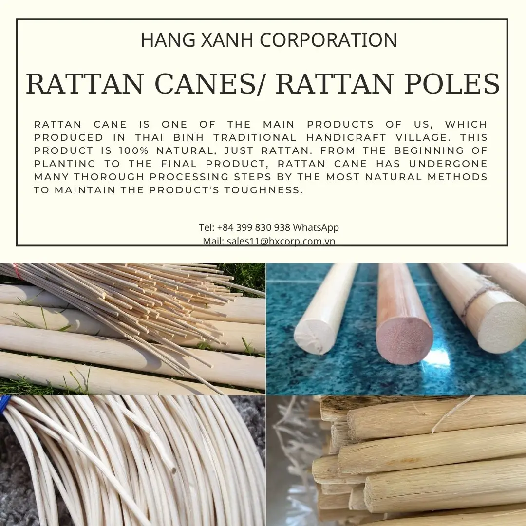 Competitive Price Rattan Canes/ Rattan Poles From Vietnam With High