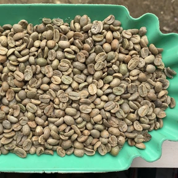 all industries agriculture coffee beans arabica coffee beans