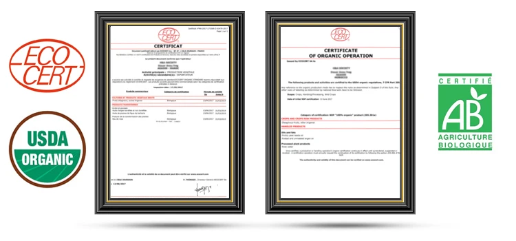 Certificates.jpg