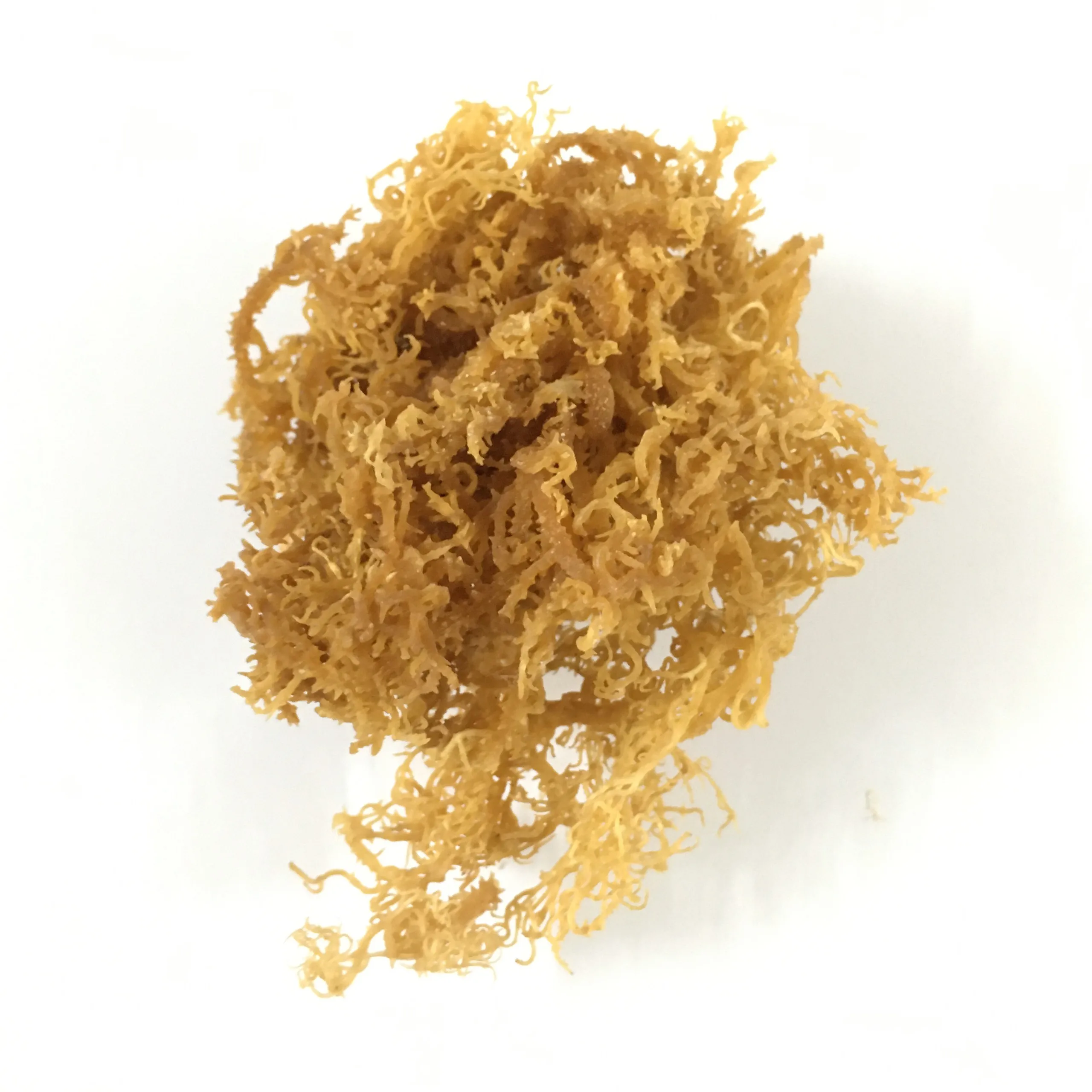 good source of real wild crafted sea moss/ irish moss from viet