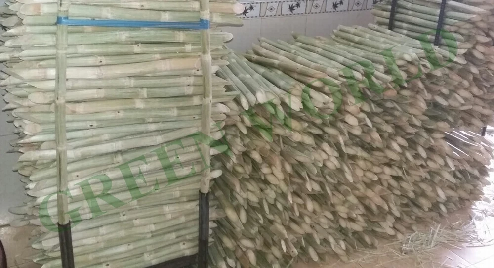 Замороженный сок сахарного тростника из Вьетнама по лучшей цене