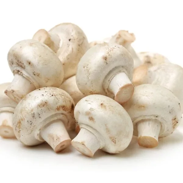 top quality fresh and white frozen mushroom for sale - buy
