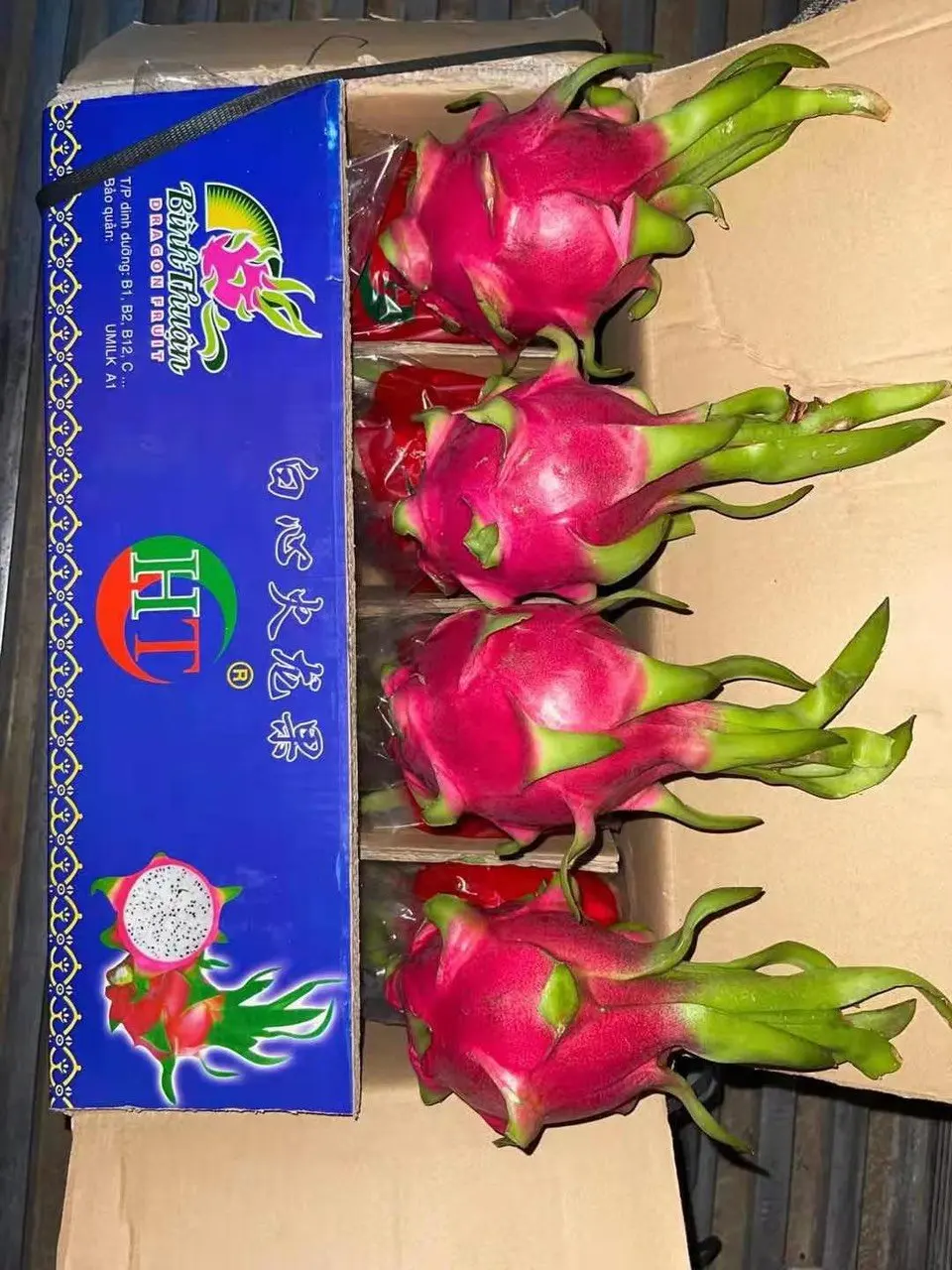 Fresh Dragon Fruit Vietnam High Quality Buy Fresh Dragon Fruit,Red