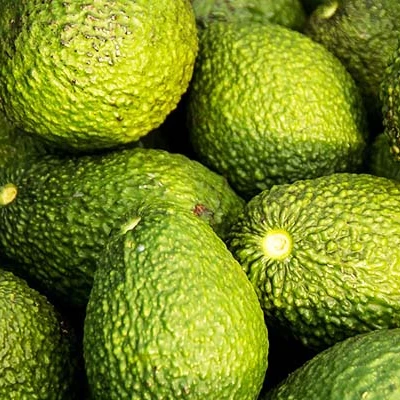 avocado fresh fruit in vietnam - buy fresh fruits and vegetables