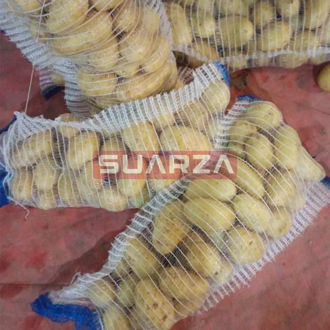 Kentang Manis Mosika Putih Segar Panen Baru Dipasok Ke Malaysia Kentang Berkualitas Segar Bersertifikasi Dengan Harga Terjangkau Buy Manis Mozika Kentang Kentang Biji Kualitas Terbaik Kentang Supplier Harga Murah Product On Alibaba Com