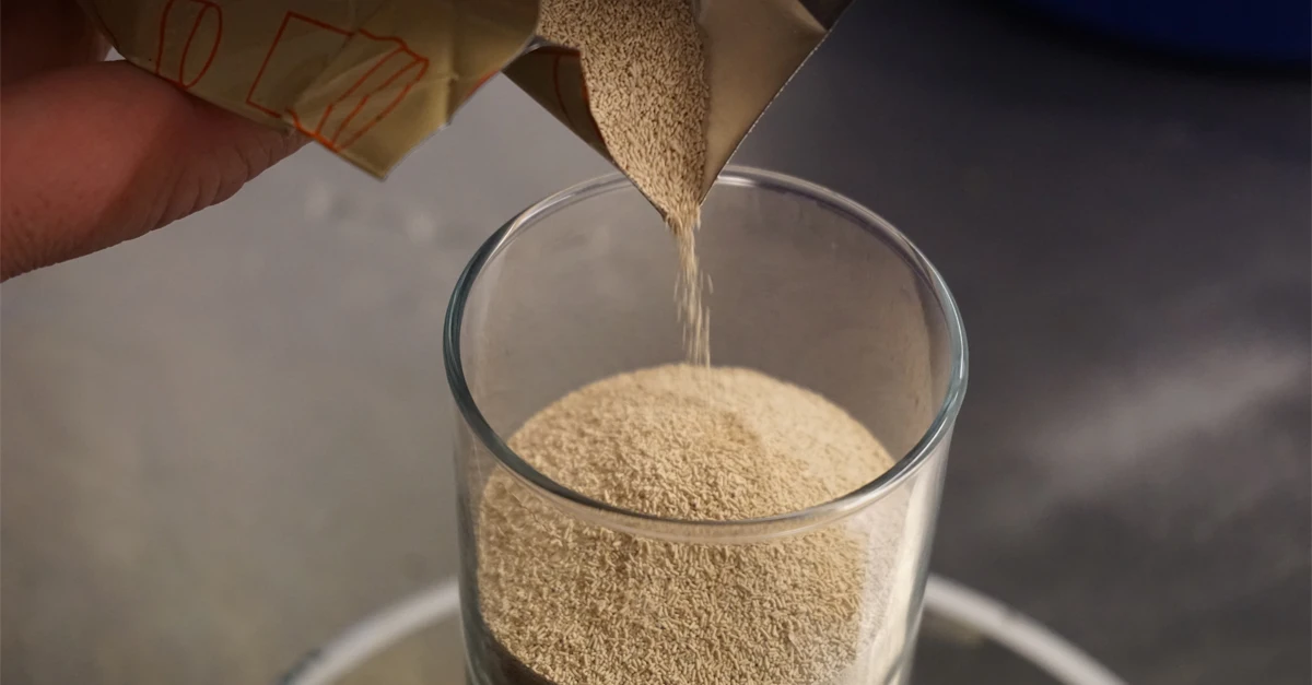 yeast 2.jpg