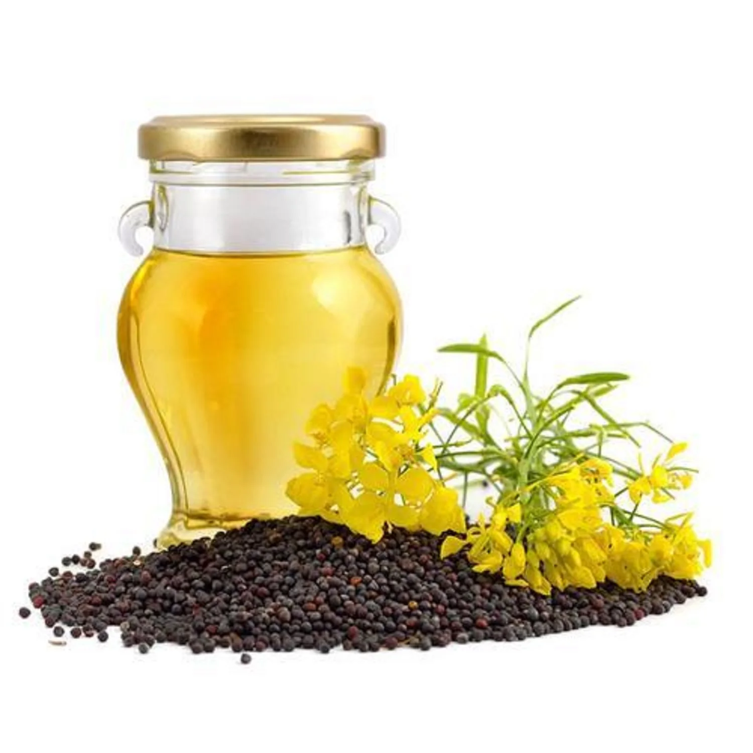 Rapeseed oil Certified Organic 100 % Pure Refined Rapeseed Oil, Canola Oil, Crude degummed rapeseed oil