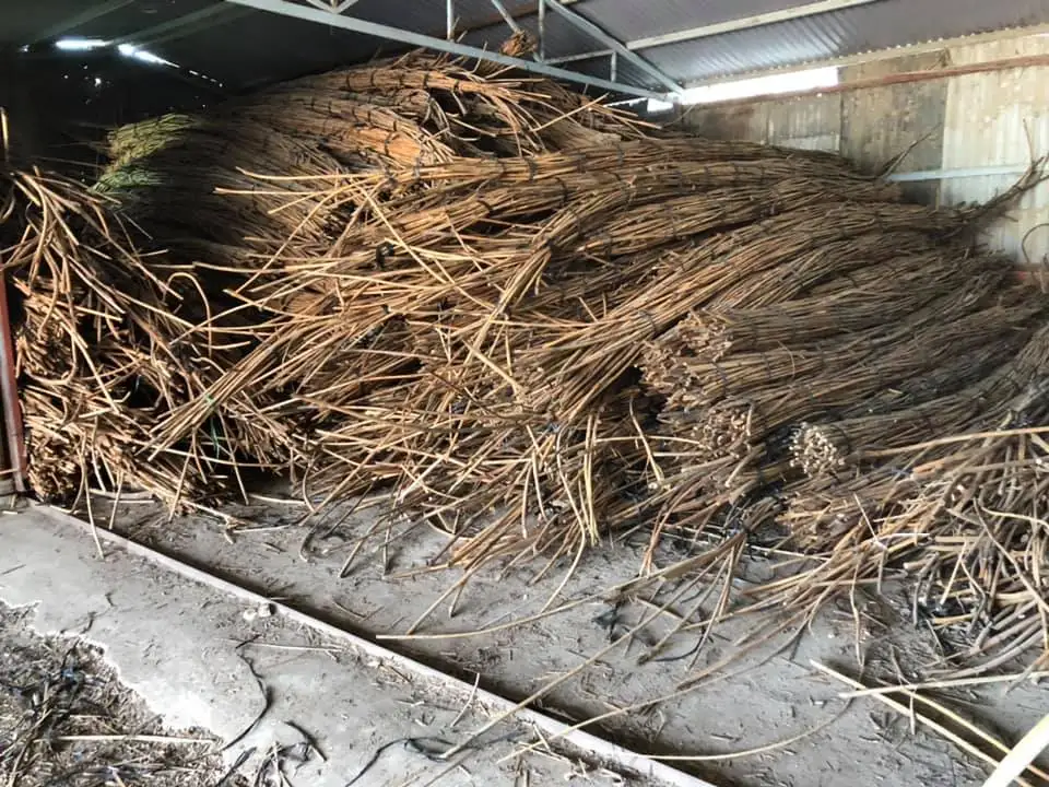 Vietnam Natural Malacca Rattan Canes / Rattan Poles Raw Material For