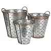 galvanised