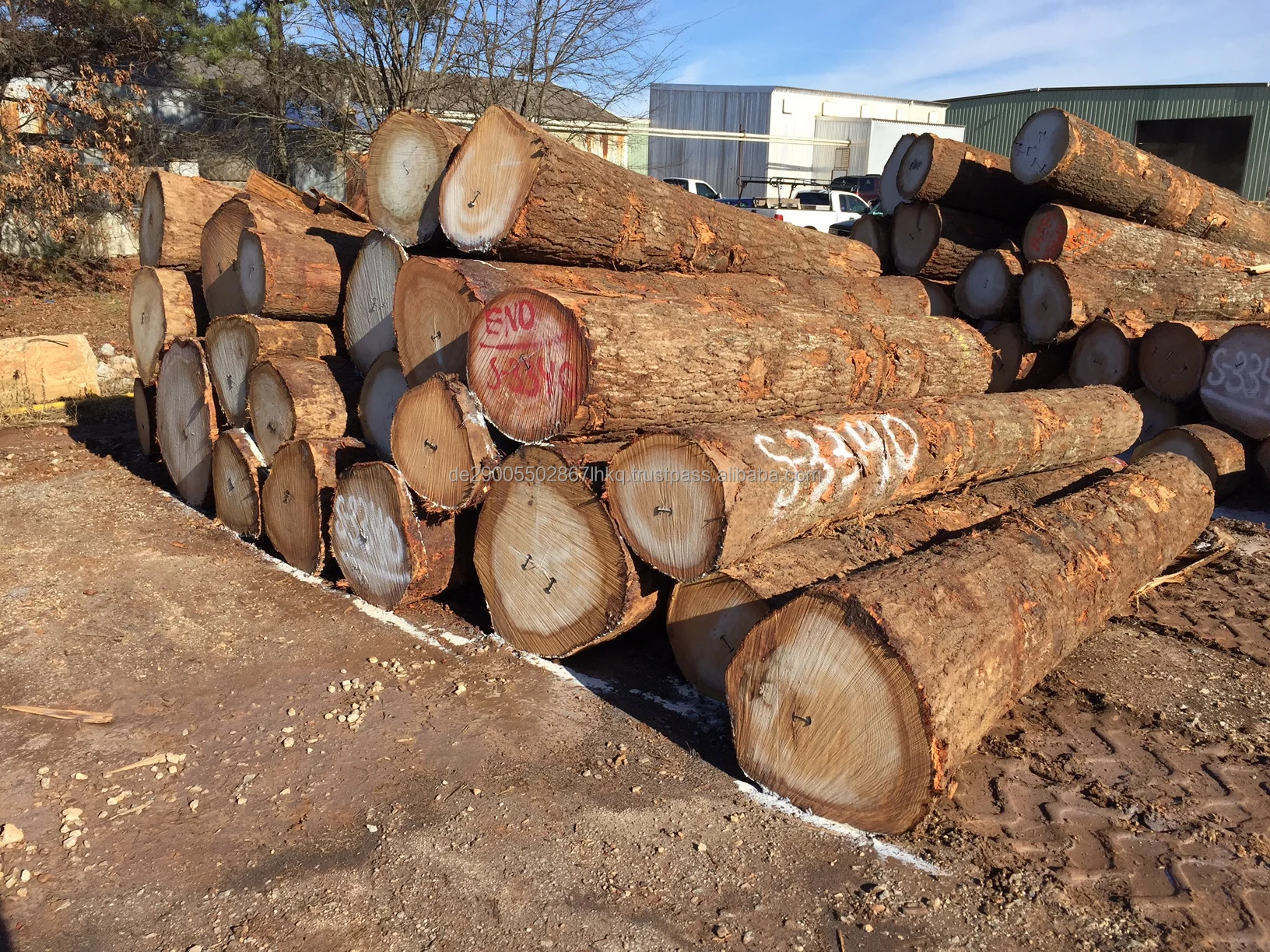 Saw Logs Oak A/b/c 30 Mm X 200 Mm Buy Oak Logs For Sale,European Oak