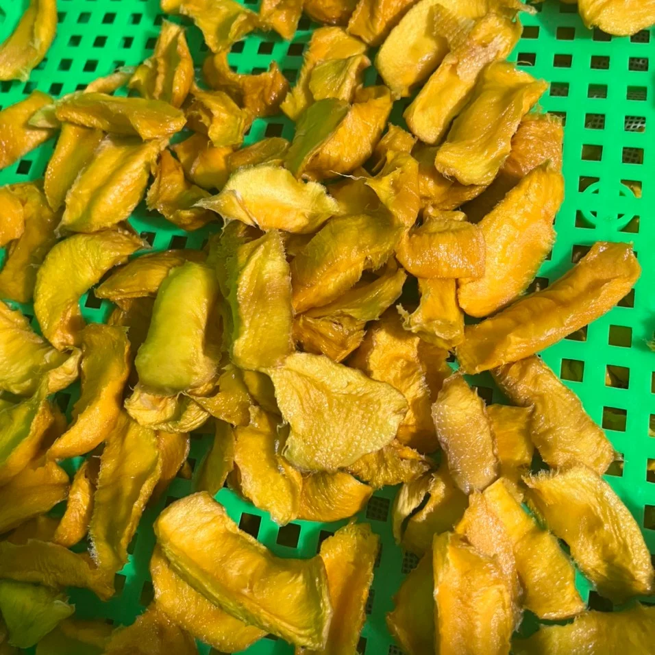Soft Dried Mango No Sugar Dried Fruits & Vegetable Is Our Best