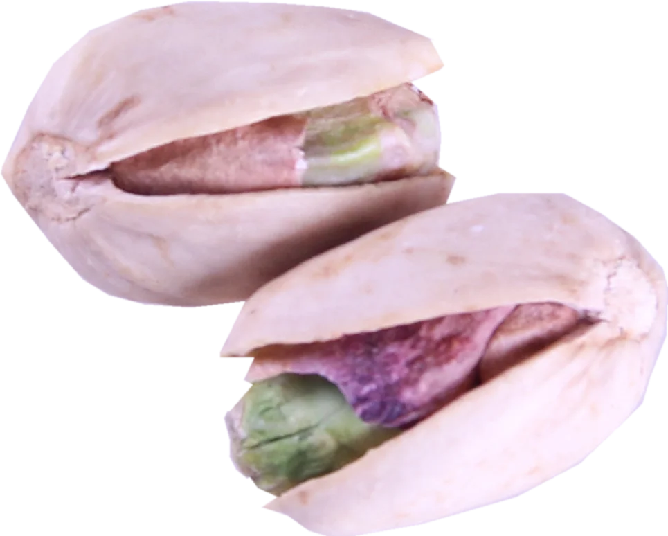 6 (1).png